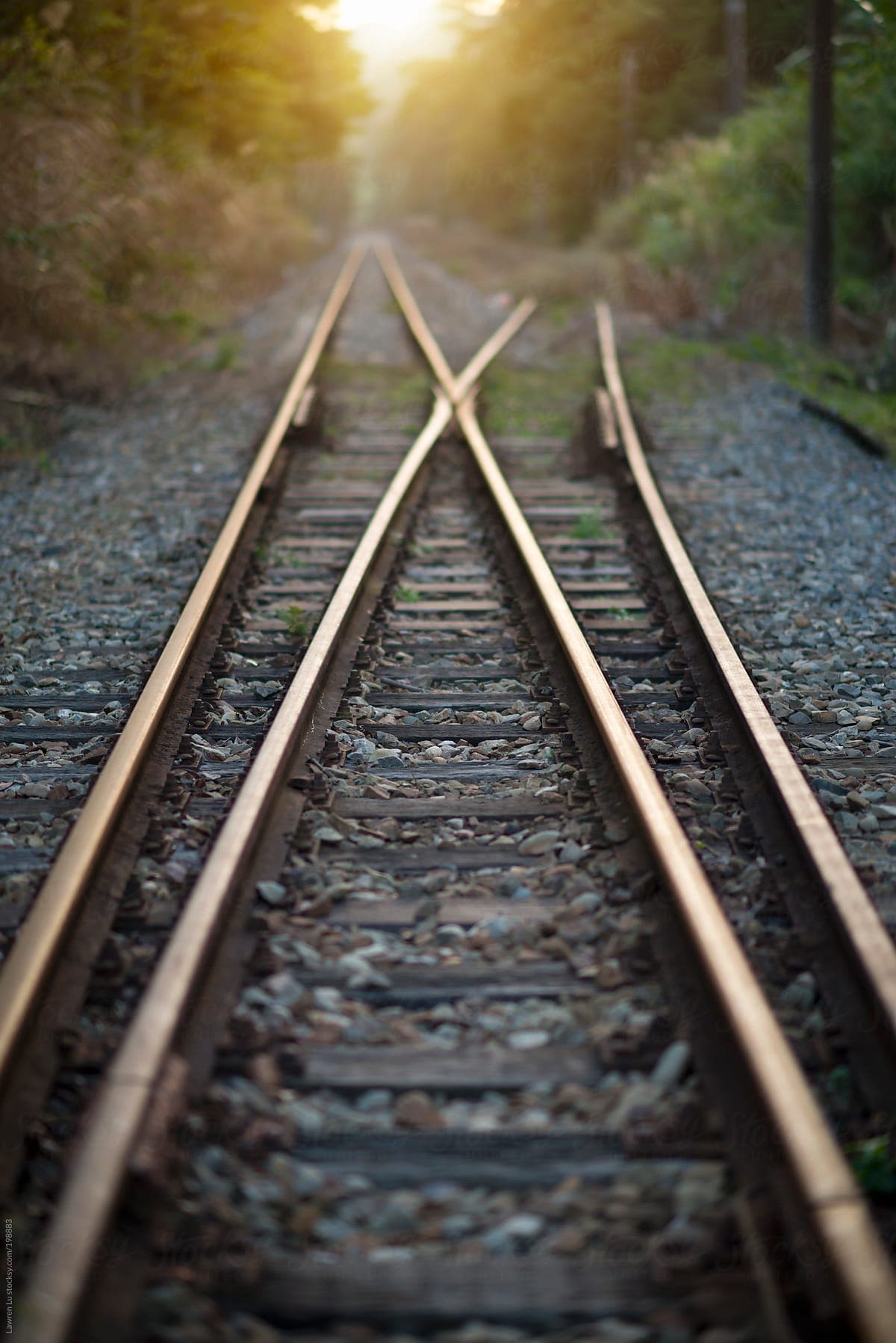 Branch Misprediction in Humans